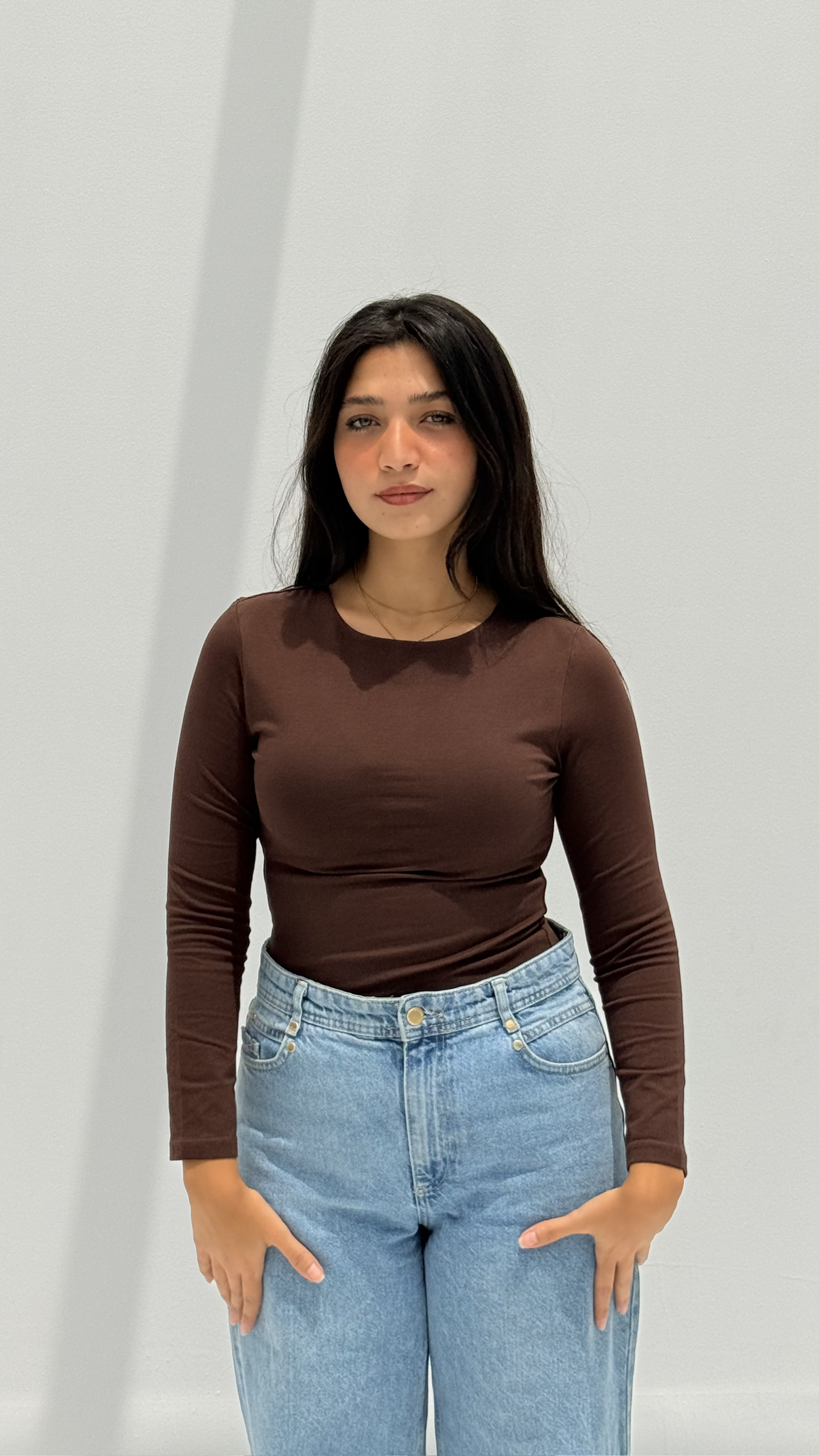Long sleeve basic top - Brown